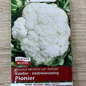 Plantico Капуста цвітна Pionier 1г