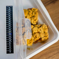 Bioterm термометр рідкокристалічний 0 °C - 40 °C - Зображення 5