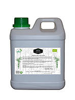 Меляса Тростинна BIO 2л (2,8 кг)