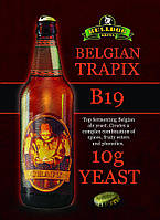 Сухі пивоварні дріжджі BullDog B19 Belgian Trapix, 10 г