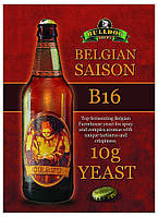 Сухі пивоварні дріжджі BullDog B16 Belgian Saison, 10 г