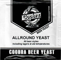 Coobra дріжджі для пивоваріння ALLROUND YEAST