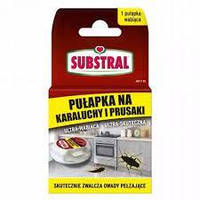 Substral Пастка для тарганів, 1шт